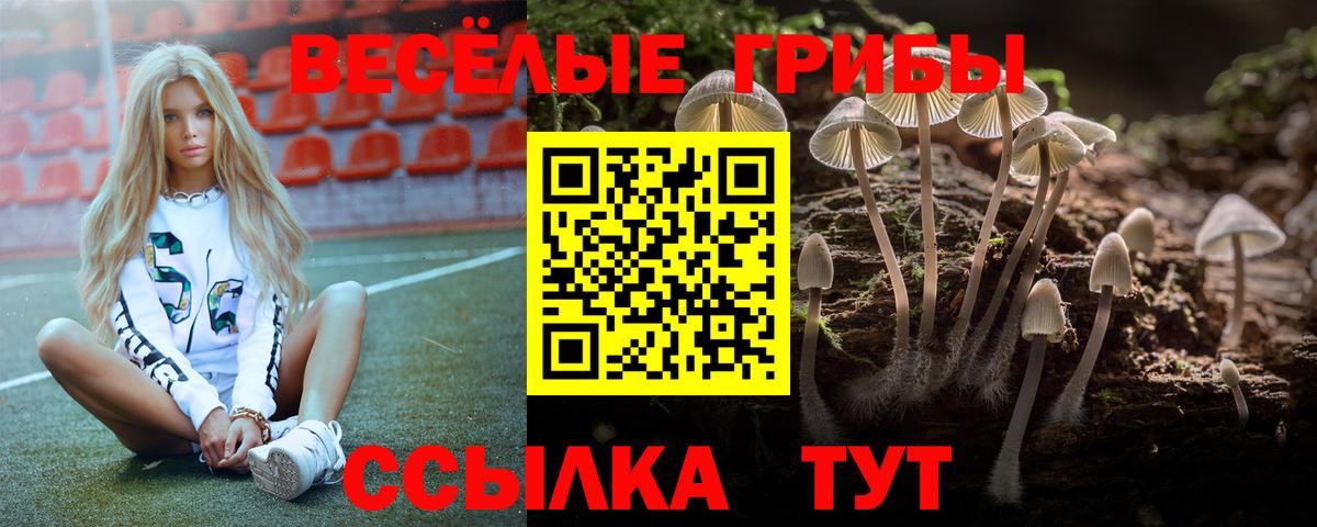 Галлюциногенные грибы Magic Shrooms  Вход с VPN  Избербаш 