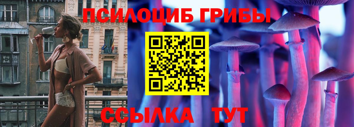 Псилоцибиновые грибы Psilocybine cubensis Избербаш